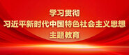 草大逼网站学习贯彻习近平新时代中国特色社会主义思想主题教育_fororder_ad-371X160(2)